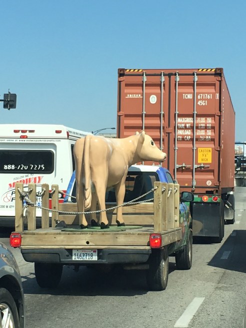 Must be summer. (Photo: Shala Howell)