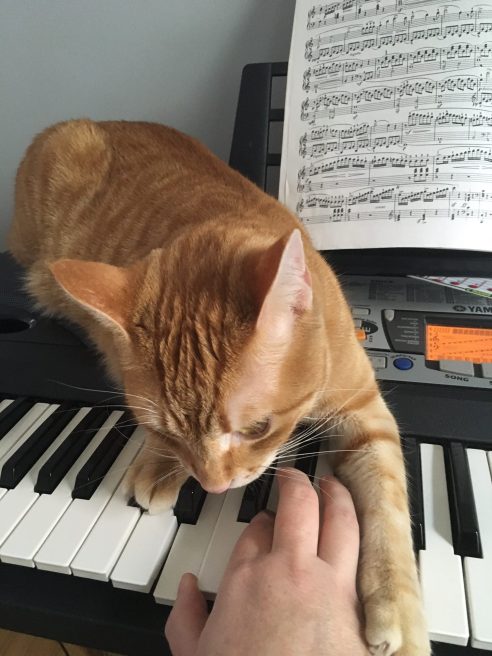 (Photo: Shala Howell)