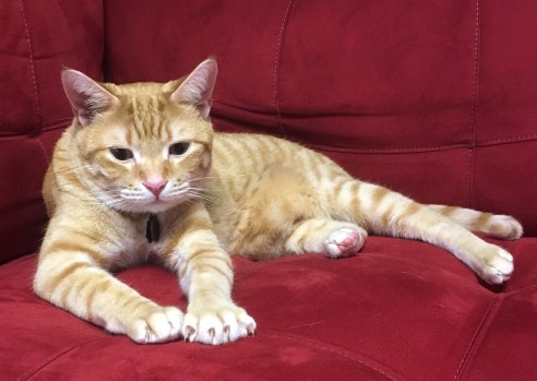 (Photo: Shala Howell)