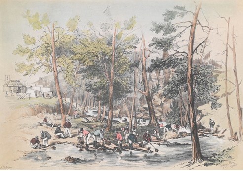 Panning for gold in the Australian Gold Rush of 1851 (Print from drawing by George French Angas. National Library of Australia.)