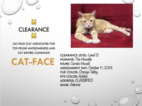 Slide features a photo of our cat and a listing of stats including his security clearance (Level 12), fur color, eye color, and rank (Admiral).