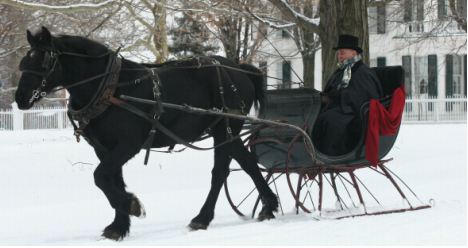 Horse with a bobbed tail pulling a sleigh in winter. (Photo via Weiner Elementary) 