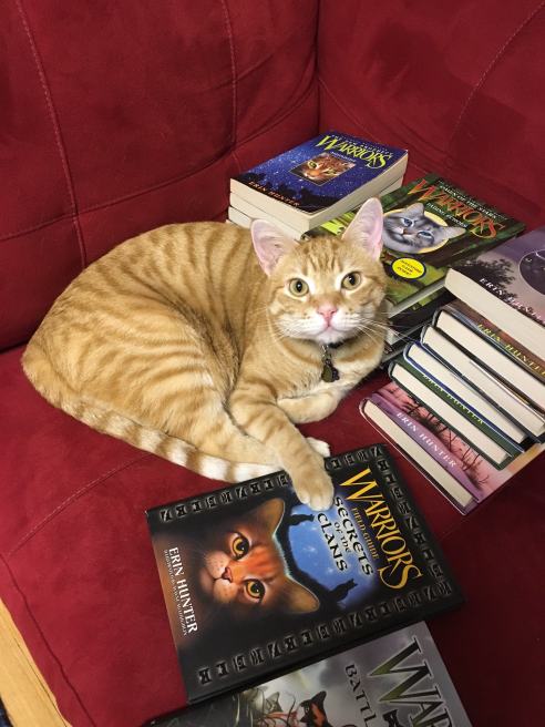 (Photo: Shala Howell)