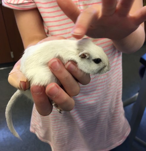 (Photo: Shala Howell)