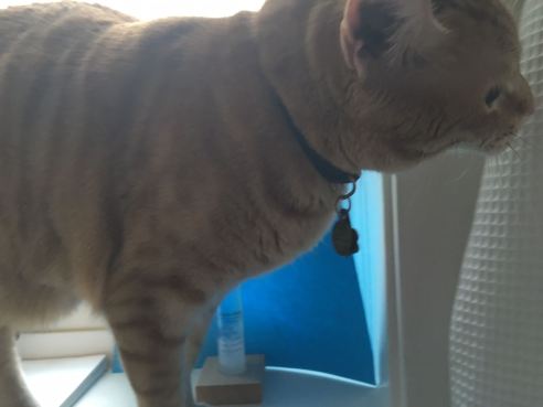 (Photo: Shala Howell)