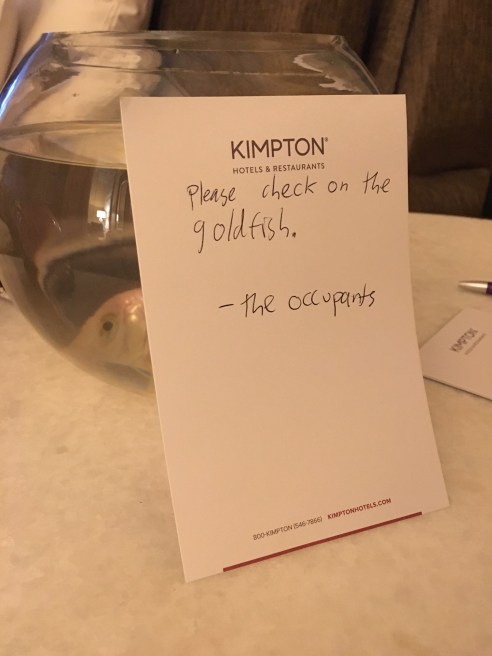 The Nine-Year-Old took her duties as Room Guardian of the Goldfish very seriously. (Photo: Shala Howell)