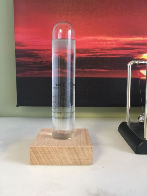 Success! (Photo: Shala Howell)