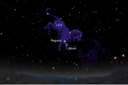 The moon will be right next to Regulus, the brightest star in the Leo constellation tonight. (Illustration: Andrew Fazekas of SkySafari)