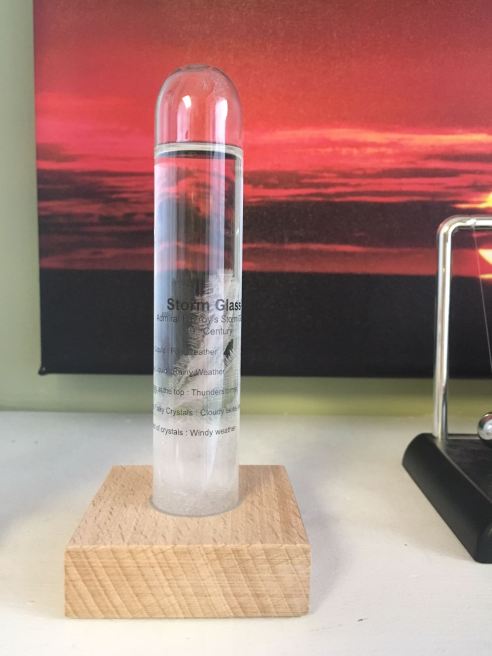 Those giant fern crystals were so pretty I almost canceled the experiment this morning outright. (Photo: Shala Howell)