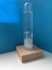 Initial crystal configuration at the start of the experiment. Note the pale crystal at the tip of the storm glass, well above the liquid, as well as the cool mushroom cloud like crystal about halfway down the glass. (Photo: Shala Howell)