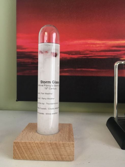 (Photo: Shala Howell)