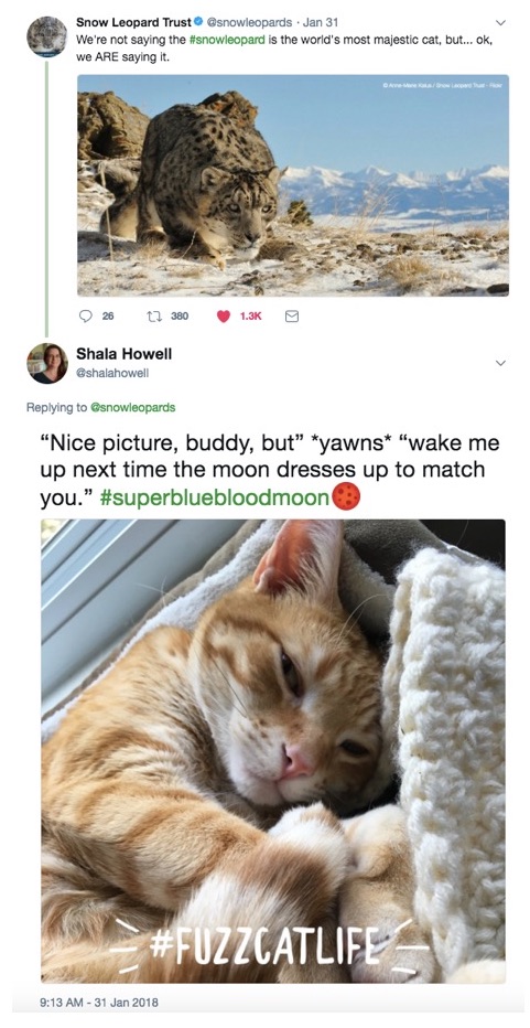 Top tweet from @snowleopards is a photo of a snow leopard surveying a snowy mountainous landscape. Text for it reads "We aren't saying the snow leopard is the world's most majestic cat, but ok we are saying it." Bottom tweet from @shalahowell is of a ginger cat sleeping in a cat bed looking unimpressed. Text reads "Nice picture, buddy, but" *yawns* "wake me up next time the moon dresses up to match you." 