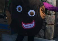 The Ten-Year-Old dressed up as a Thin Mint.