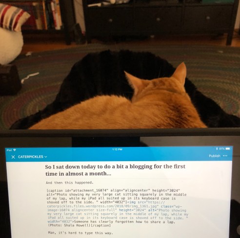 Cat has been moved further down the lap, giving the iPad the prime lap real estate. 