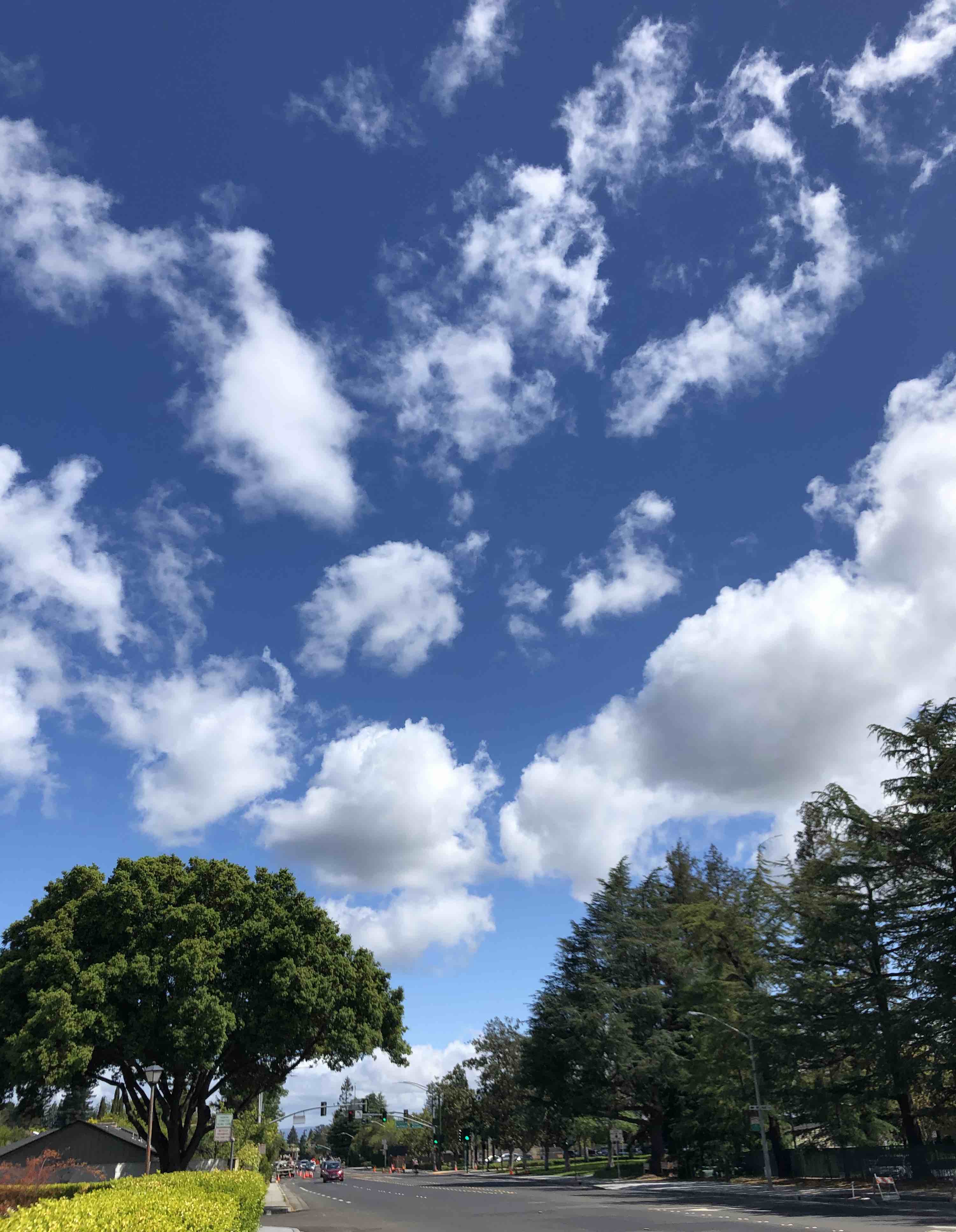Deep blue sky dotted with fluffy white clouds fading to a baby blue sky just above the treeline. 