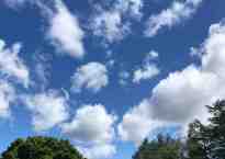 Sky above the tree -- perfectly dark blue at the top shading down to a pale baby blue just above the trees. There's clouds too. The fluffy cotton ball kind.
