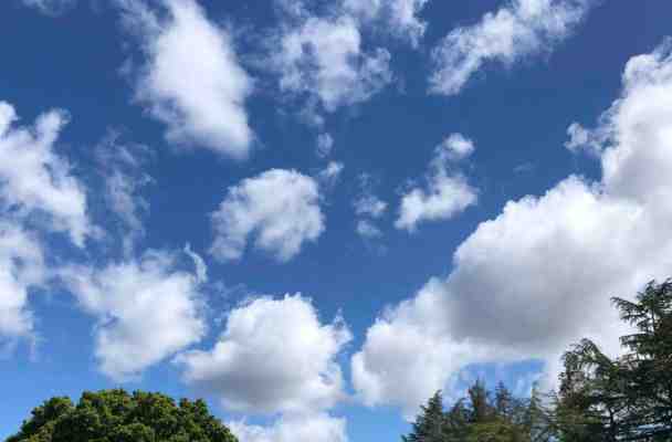 Sky above the tree -- perfectly dark blue at the top shading down to a pale baby blue just above the trees. There's clouds too. The fluffy cotton ball kind.