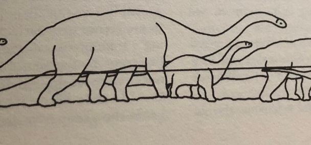 line drawing of several large and small sauropods underwater.