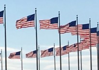 a semi circle of flags against a pale blue sky