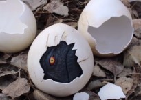 A dinosaur eye peers out from a partially cracked handmade dinosaur egg.
