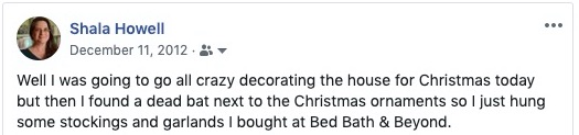 Facebook post: "Well I was going to go all crazy decorating the house for Christmas today but then I found a dead bat next to the Christmas ornaments so I just hung some stockings and garlands I bought at Bed Bath and Beyond."