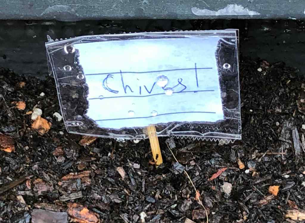 Handwritten sign on a toothpick that reads "Chives!" 