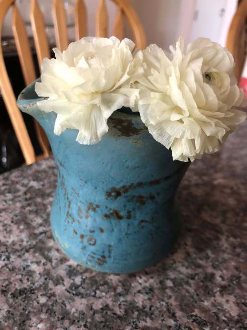 Two frilly white flowers in a small blue vase