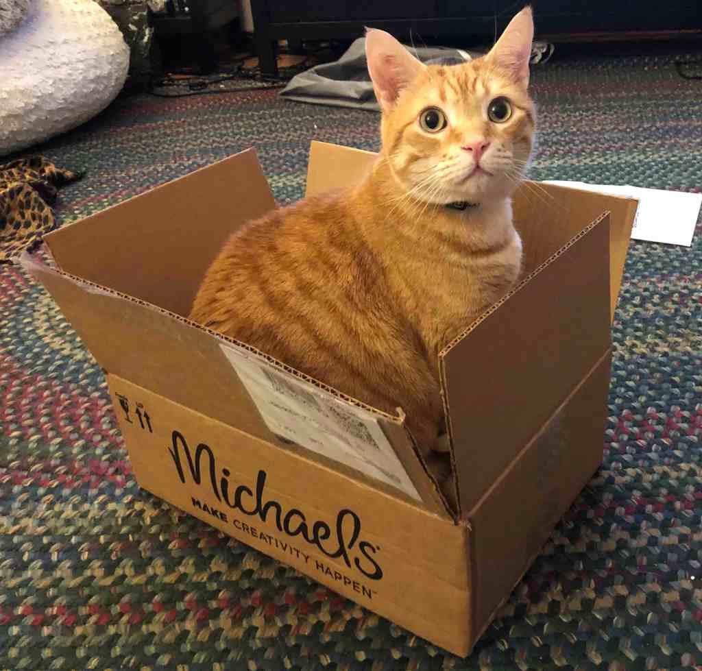 Orange cat huddles inside a Michael's cardboard shipping box. 