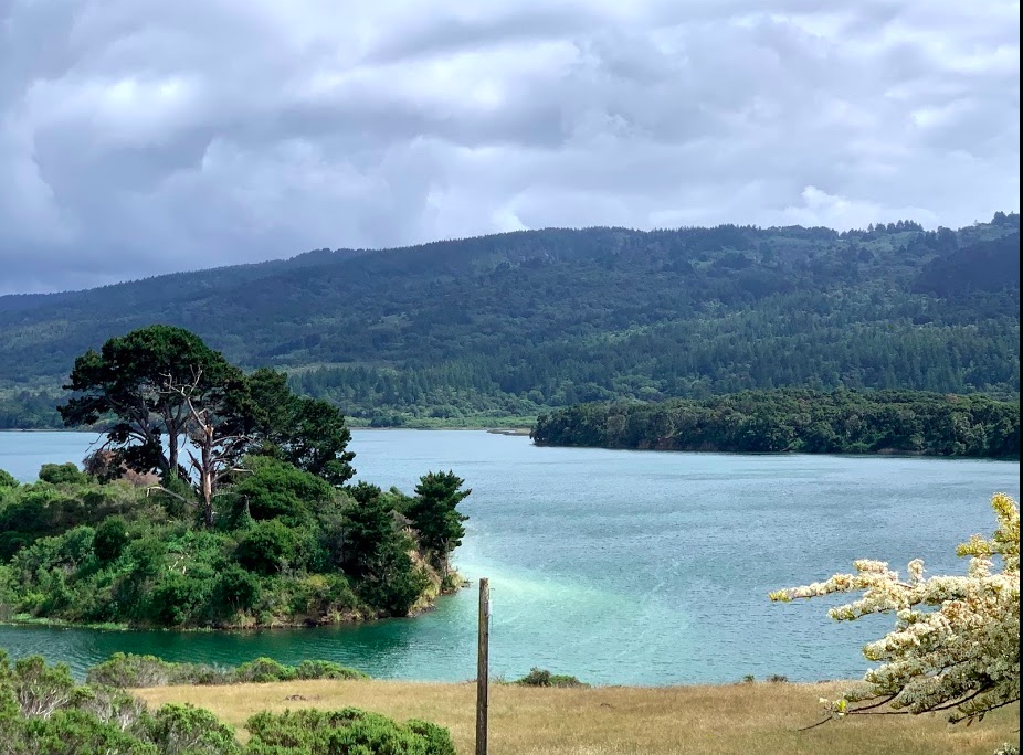 Scene beside a a lake in Northern California. Green hills in the background. Foreground has a white flowering bush, golden grass, and a little tree-covered island in the midst of a lake of blue-green water. 