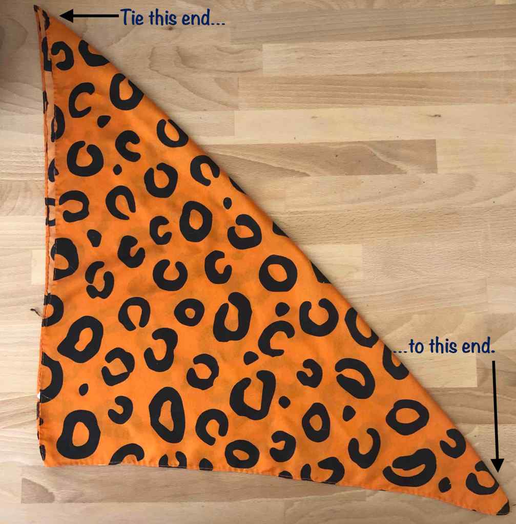 Photo of a large bandana folded into a triangle. Notes on the picture point out which ends of the bandana to tie together in step 3. 