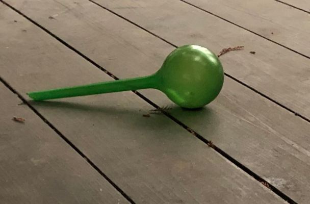A long green tube with a bulb on the end used to slowly dispense water for potted plants lies in the middle of my back deck.
