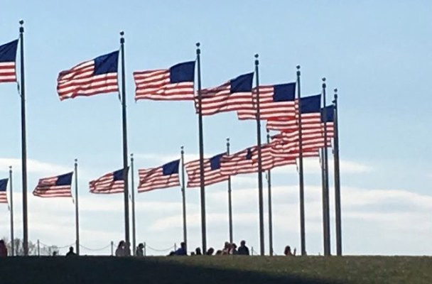 a semi-circle of US flags flying against a light blue sky.