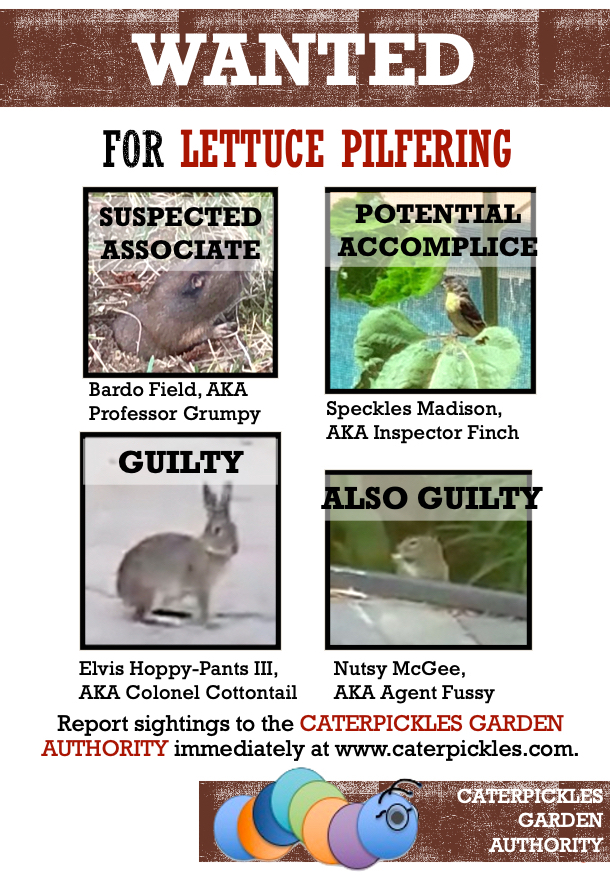 The previous wanted poster has been updated so that the words "also guilty" now appear on the photo of the squirrel, Nutsy McGee, AKA Agent Fussy.