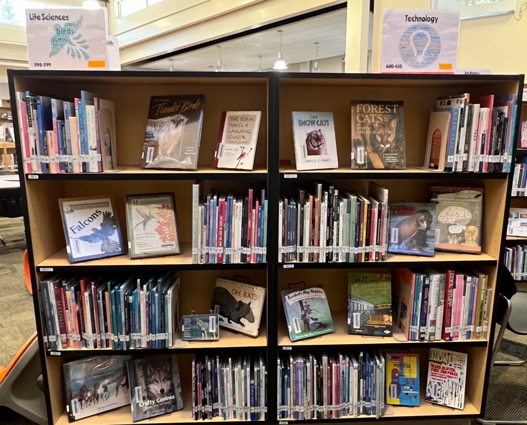 Image of a freestanding stack in our revamped nonfiction section. It is a four-shelf high, two shelf wide bookcase. Every shelf has two books face forward. The face forward books have lively covers designed to serve both as topic landmarks and enticements for browsing readers. 