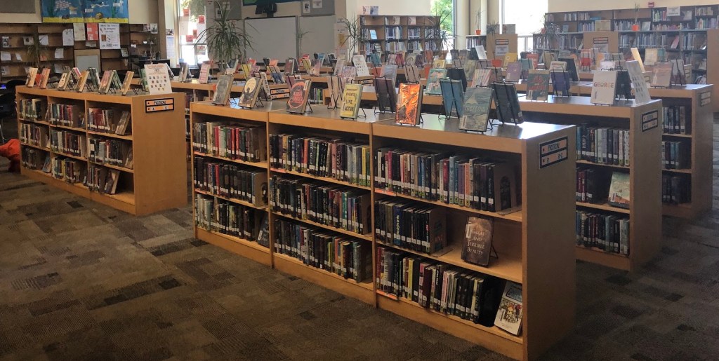The fiction stacks are in the foreground, the nonfiction ones in the background. The vast majority of the books are spine out. 