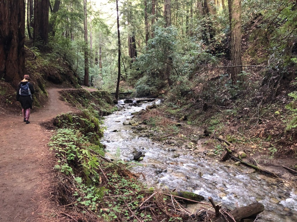 image shows a teenager in a fedora walking along a trail in a wooded area next to a creek. 